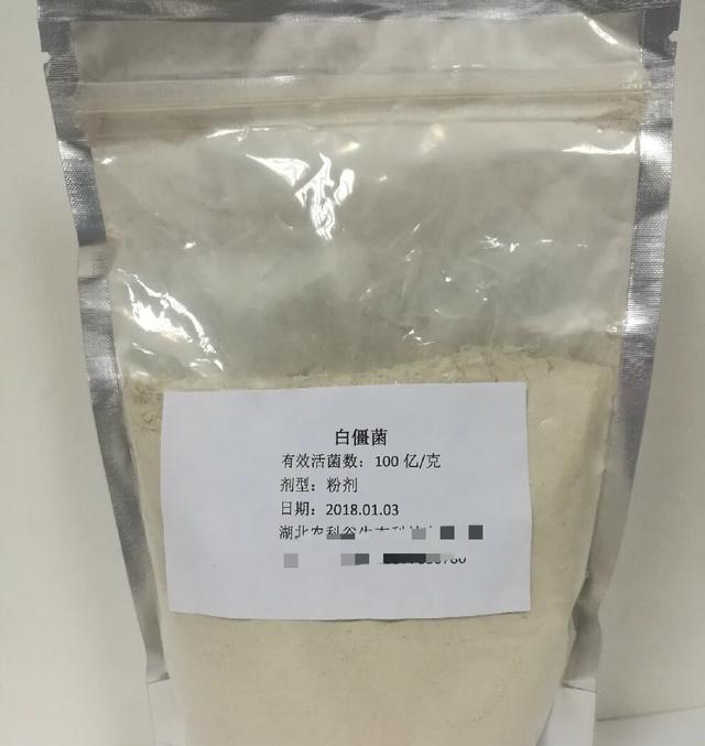 微生物杀虫剂有哪些？都能杀什么虫？