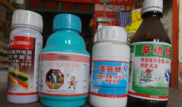 如何科学的选择农药？