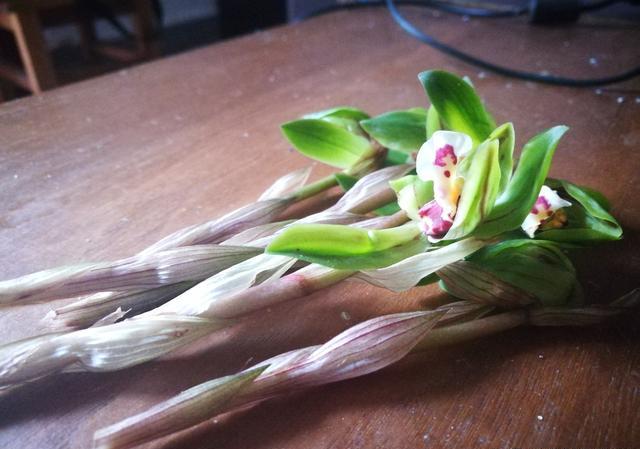 春兰开花是为什么一梗花茎上会开2朵花？