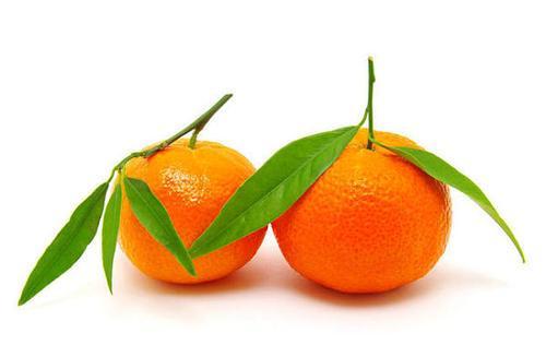 柑橘蓟马怎么防治效果好？