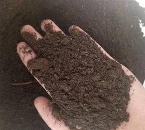 微生物菌肥到底有什么作用？种植过程中得了根腐病可以用菌肥吗？
