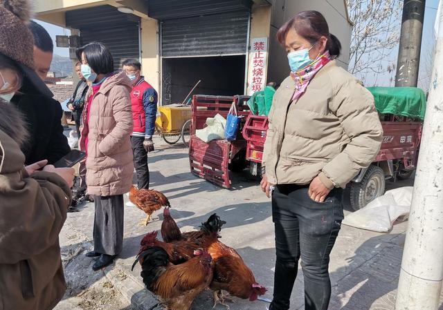 山上放养的土鸡多少钱一斤，市场如何？