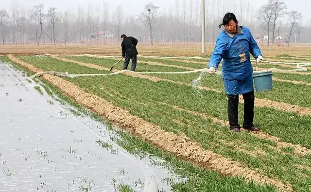 农民户口现居住在城市，将来还要回农村吗？