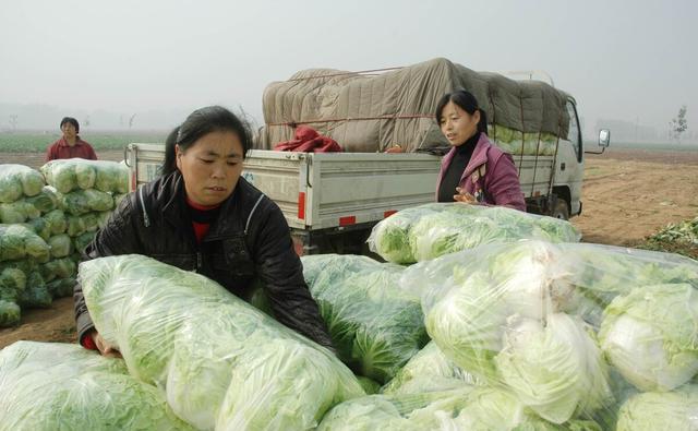 在越南的街头，晚上有美女问“要不要白菜”，这到底是什么意思？