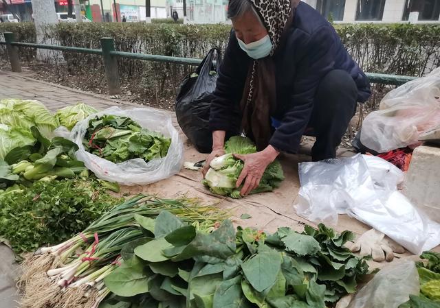 复合肥能兑粪水浇菜吗？为什么？