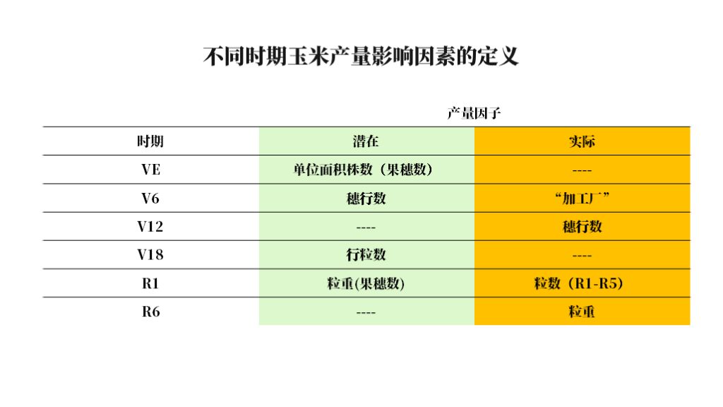 玉米的生长过程图片及文字（从种子的萌发到完熟图解）