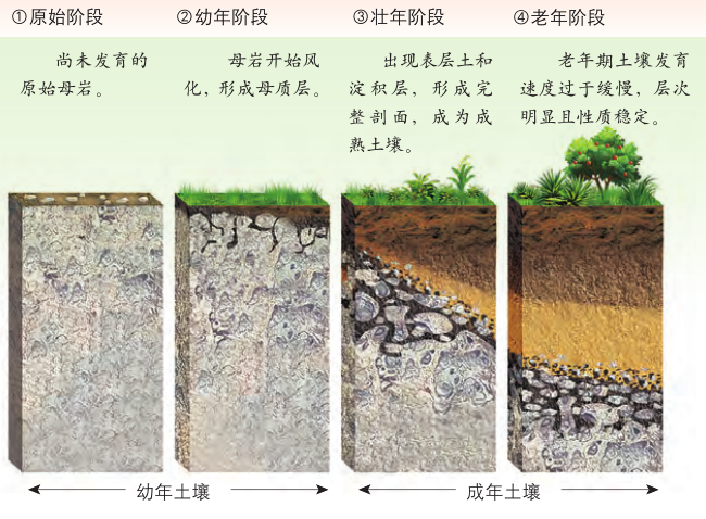 土壤百科知识图解