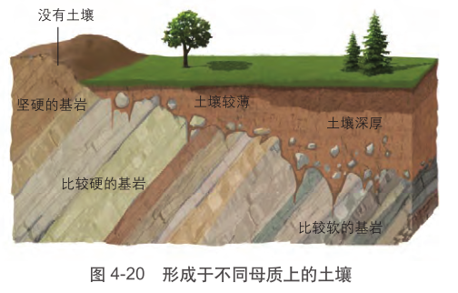 土壤百科知识图解