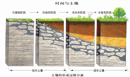 土壤百科知识图解