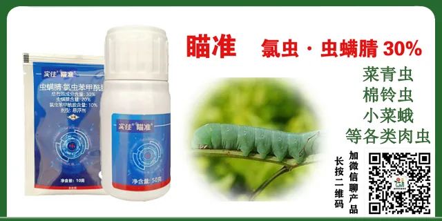 玉米种植常见的病害图片和处理方法