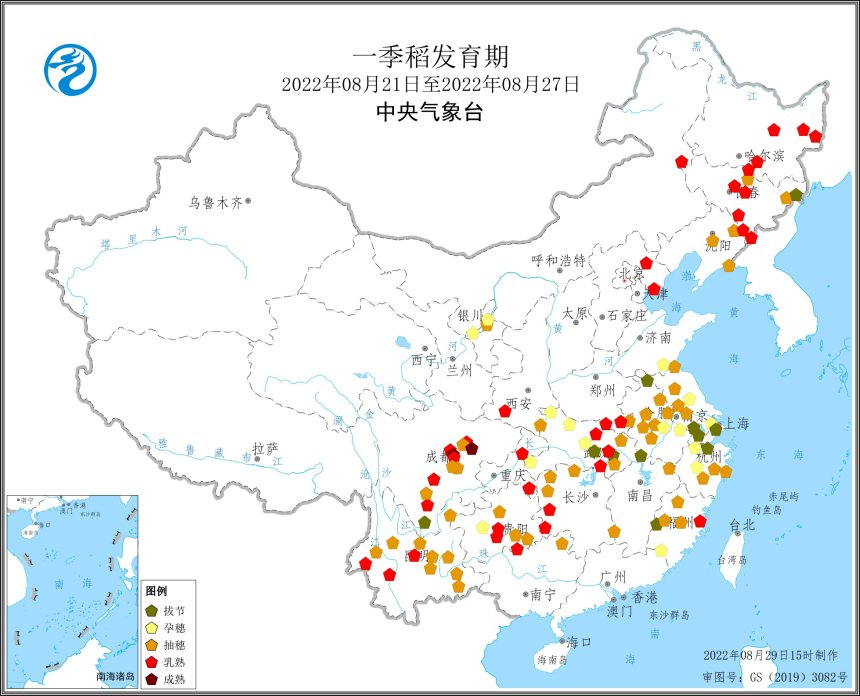 水稻高温、干旱、病虫害该如何应对？