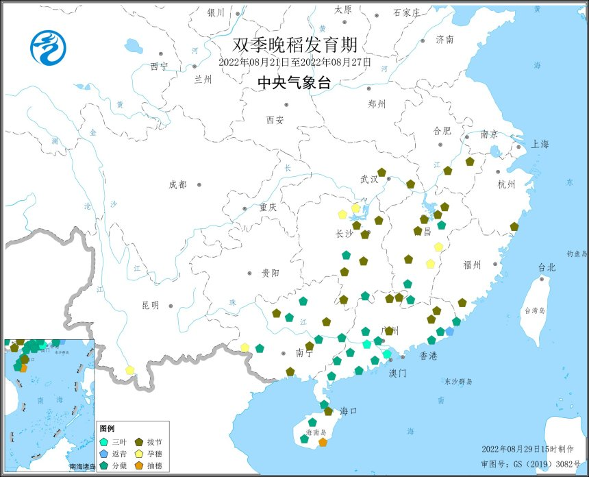 水稻高温、干旱、病虫害该如何应对？