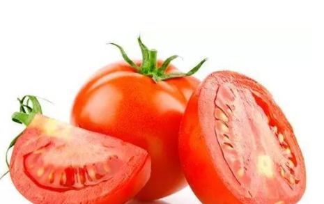 番茄怎么养殖比较好 番茄春季育苗苗床管理的技术