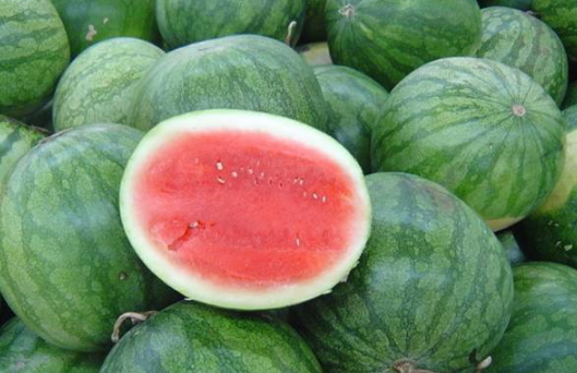 西瓜怎么养殖 西瓜子种下后多久可以发芽出苗
