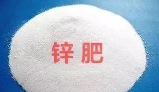 微信图片_20240408145112.jpg