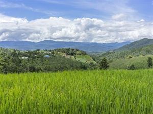 农村征地补偿新标准