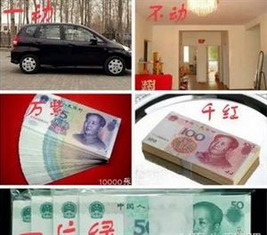 农村人天天干活挣钱,都怎用了?
