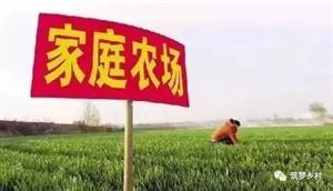 家庭农场老板,告诉你六条血的教训!