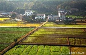 农村土地管理与使用