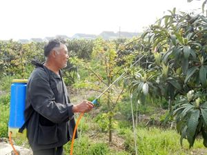 果园生态治虫技术