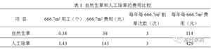 清香核桃园省力化栽培技术