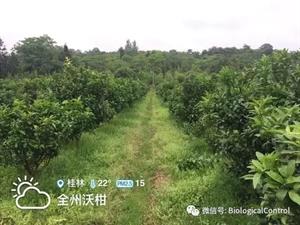 果树抗旱栽培技术(1)