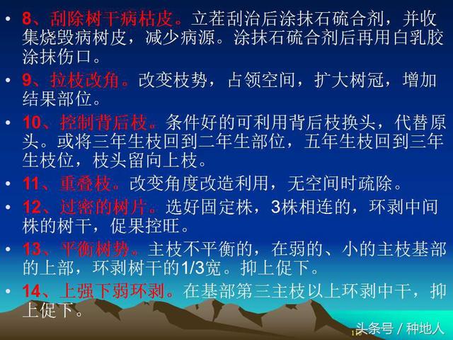 核桃整形修剪技术图解