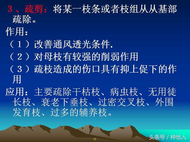 核桃整形修剪技术图解