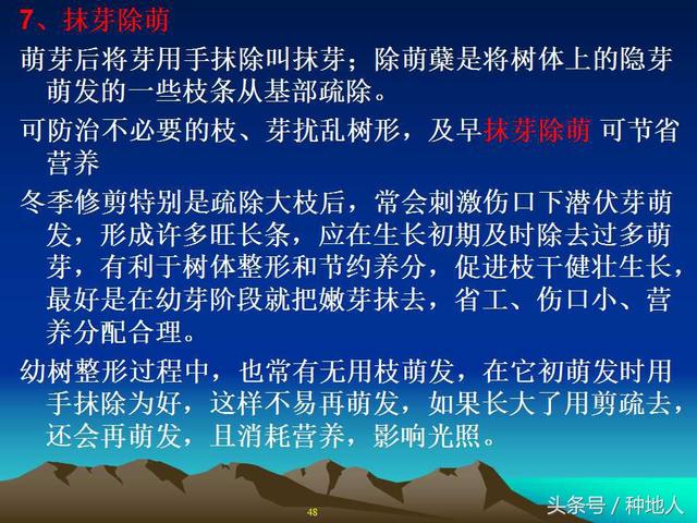 核桃整形修剪技术图解
