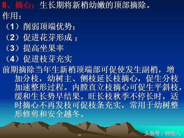 核桃整形修剪技术图解