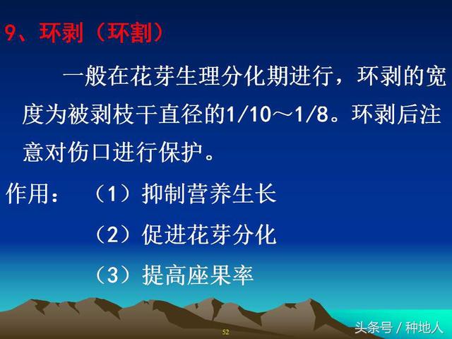 核桃整形修剪技术图解