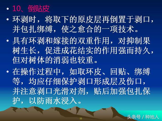 核桃整形修剪技术图解