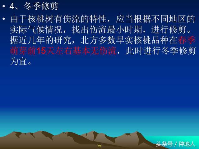 核桃整形修剪技术图解