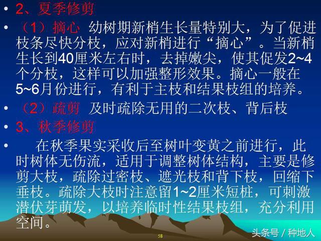 核桃整形修剪技术图解