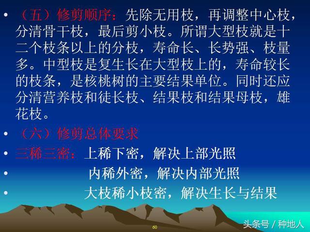 核桃整形修剪技术图解
