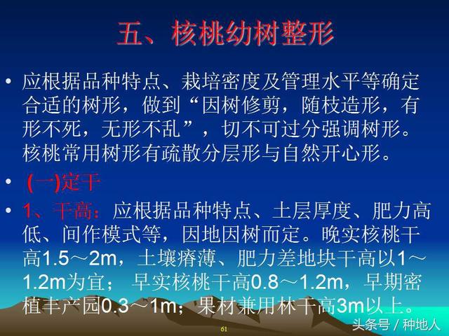 核桃整形修剪技术图解