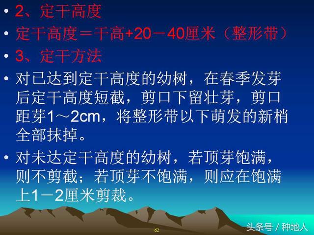 核桃整形修剪技术图解