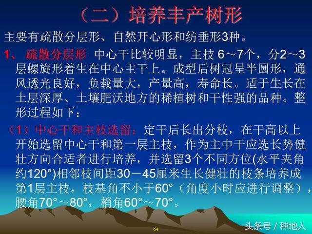 核桃整形修剪技术图解