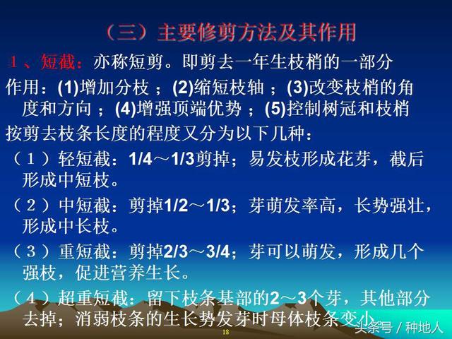 核桃整形修剪技术图解
