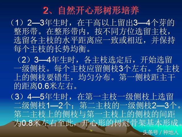 核桃整形修剪技术图解