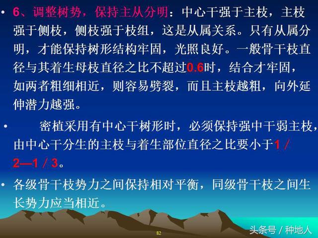 核桃整形修剪技术图解