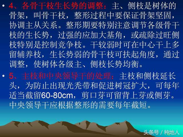 核桃整形修剪技术图解