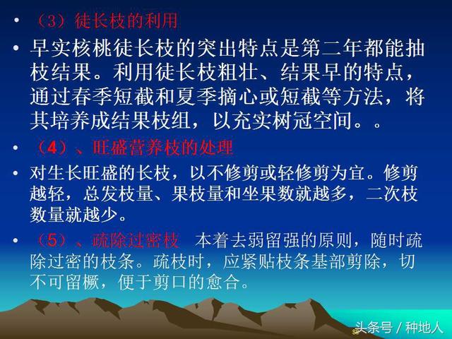 核桃整形修剪技术图解