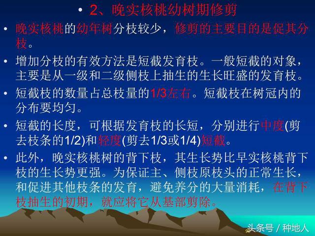 核桃整形修剪技术图解