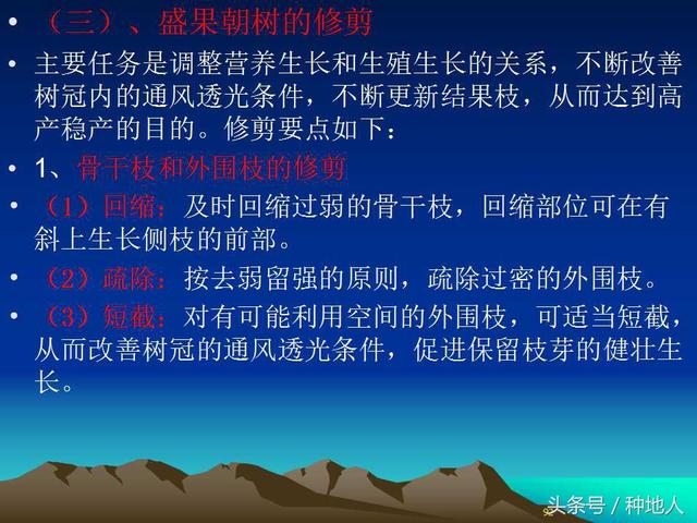 核桃整形修剪技术图解