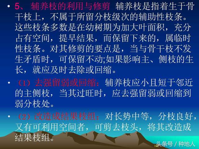 核桃整形修剪技术图解