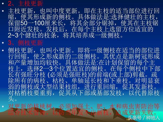 核桃整形修剪技术图解
