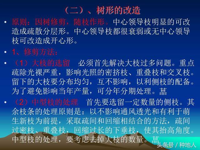 核桃整形修剪技术图解