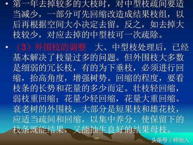 核桃整形修剪技术图解