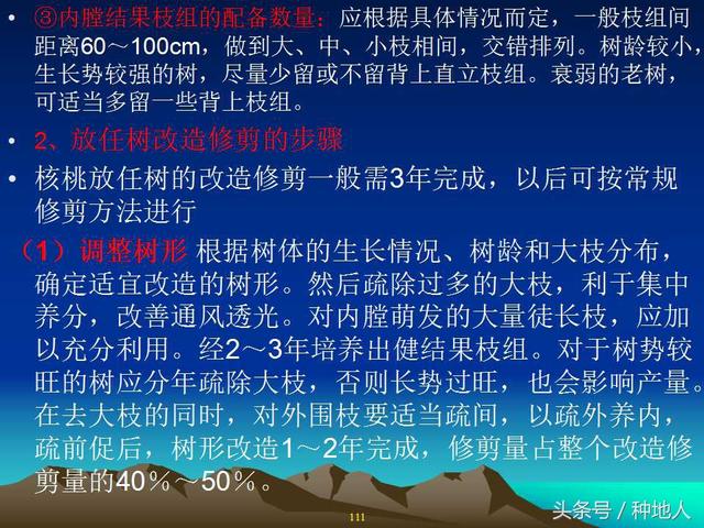 核桃整形修剪技术图解